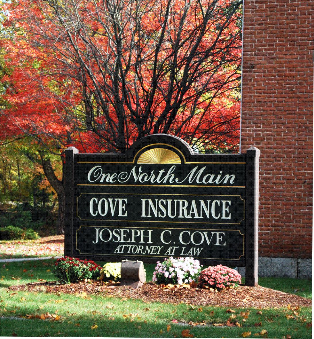 Cove-Insurance