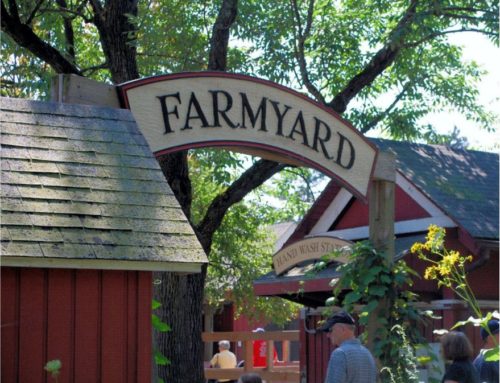 Farmyard