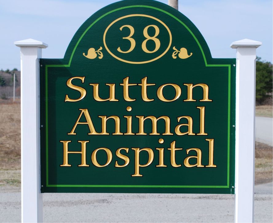 Sutton Animal Hospital