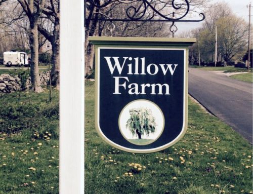 Willow Farm